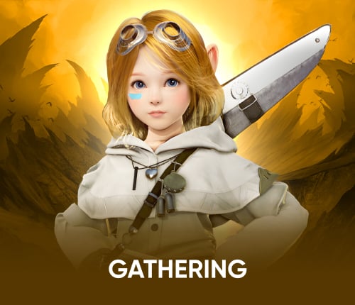 BDO Gathering Life Skill